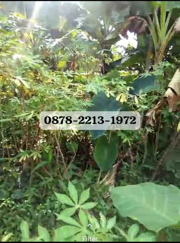 dijual tanah pajajaran bandung