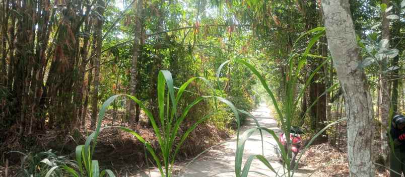 dijual tanah pekarangan luas daerah dompol kemalang