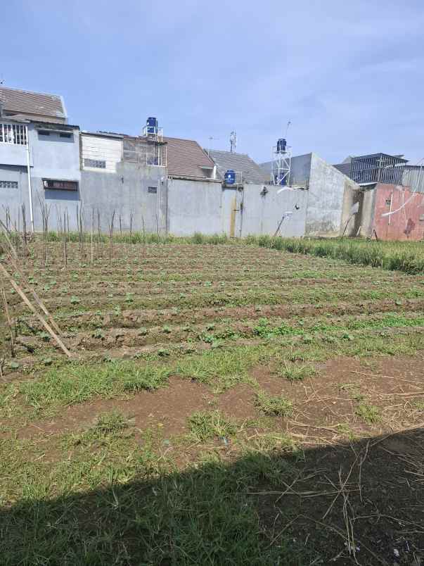 dijual tanah permata permai cisaranten