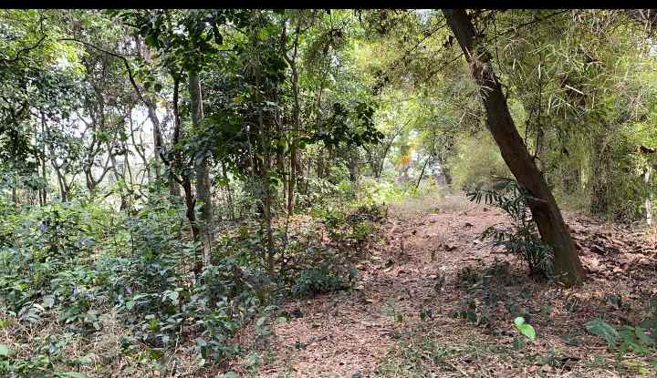 dijual tanah perumahan bappenas