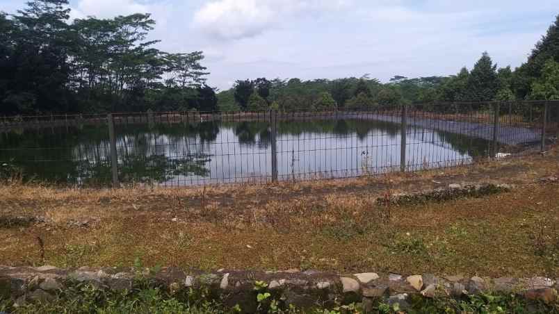 dijual tanah pododadi pekalongan