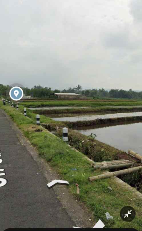 dijual tanah sawah pinggir jalan singosari malang