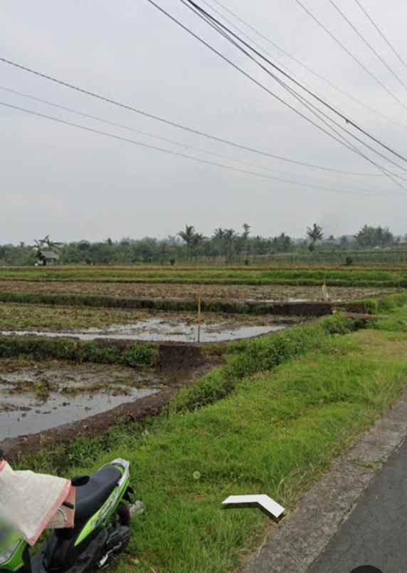 dijual tanah sawah pinggir jalan singosari malang
