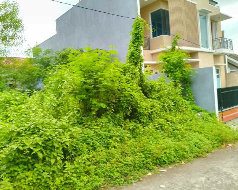 dijual tanah sembego maguwoharjo kec