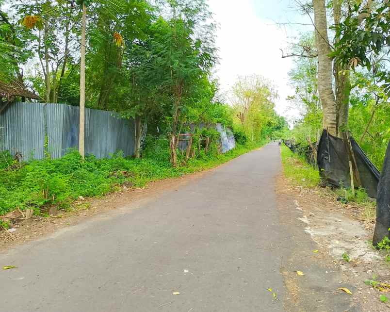 dijual tanah sembego maguwoharjo kec