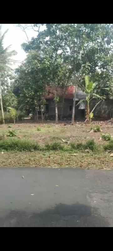 dijual tanah sendangrejo minggir sleman