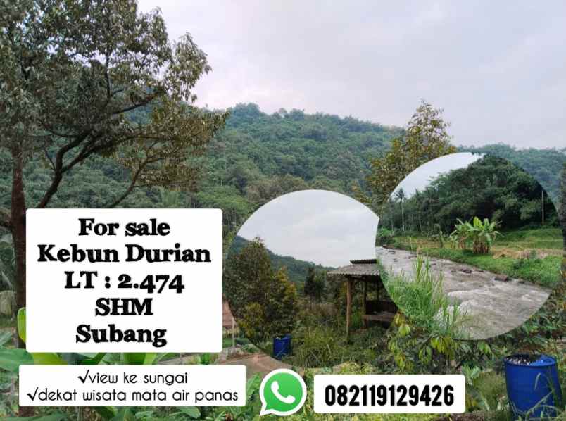 dijual tanah subang jawa barat