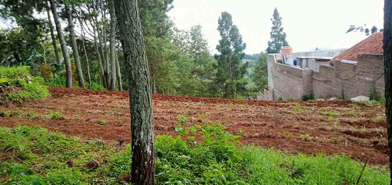 dijual tanah sukanagara