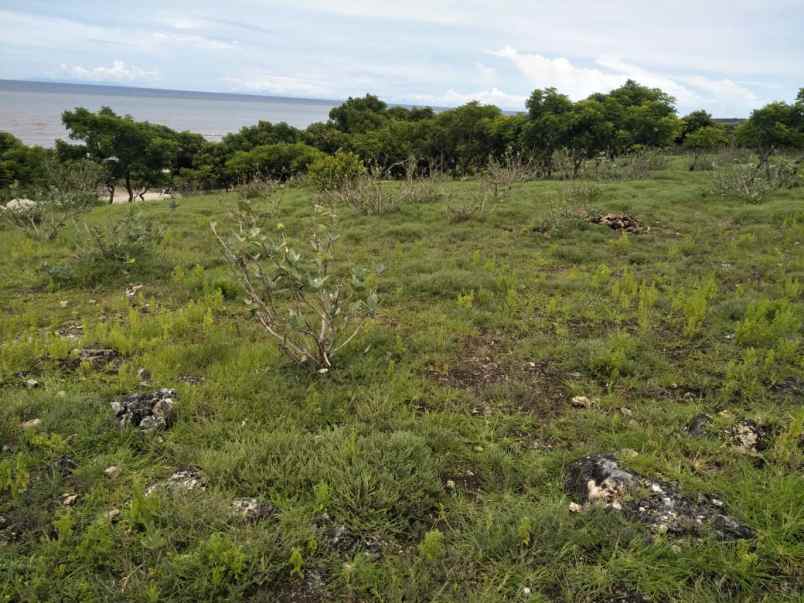 dijual tanah tanah pinggir pantai