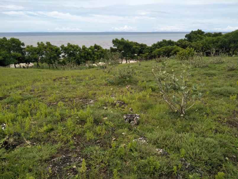 dijual tanah tanah pinggir pantai