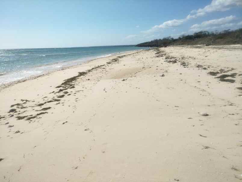 dijual tanah tanah pinggir pantai