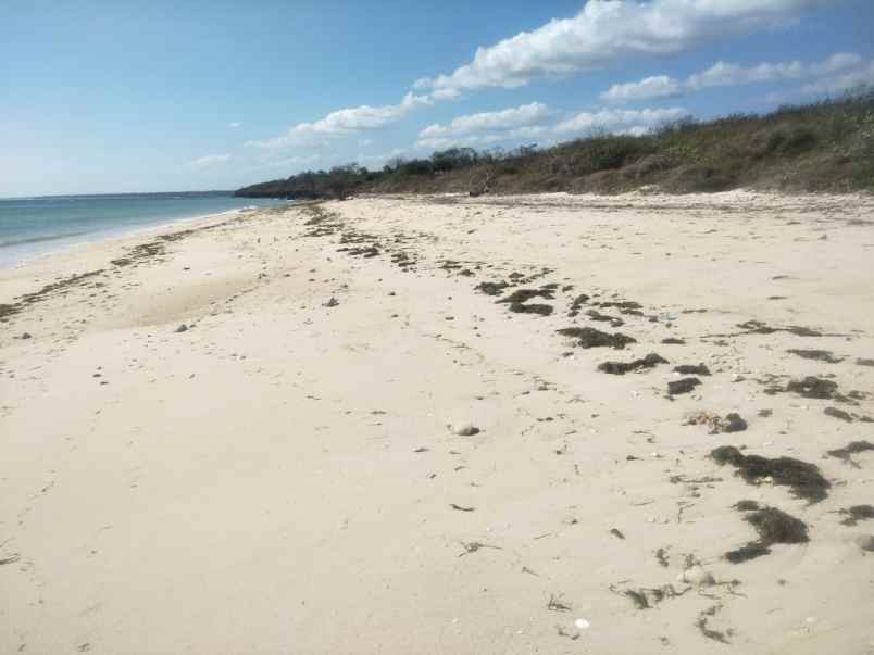 dijual tanah tanah pinggir pantai