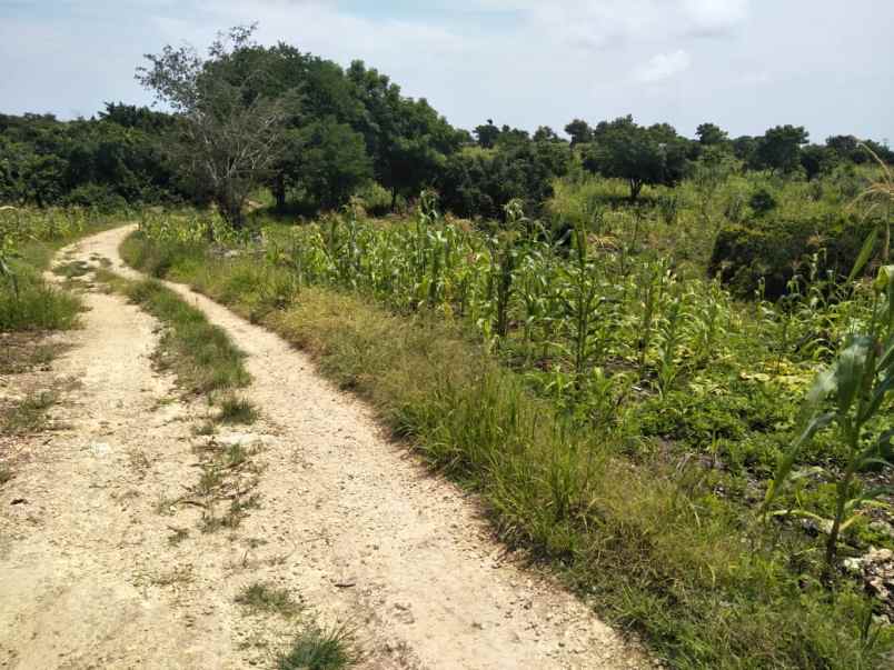 dijual tanah tanah pinggir pantai