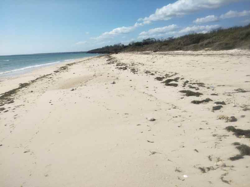 dijual tanah tanah pinggir pantai