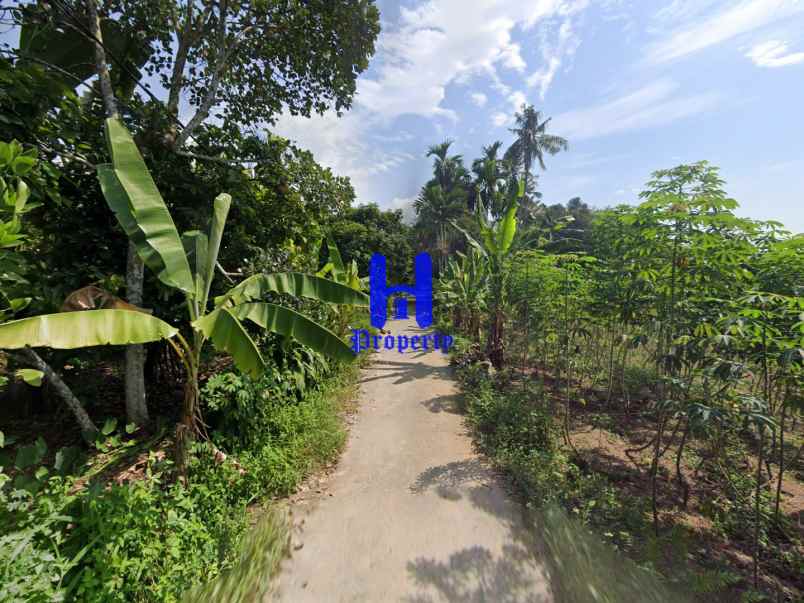 dijual tanah tandukan raga masuk dari