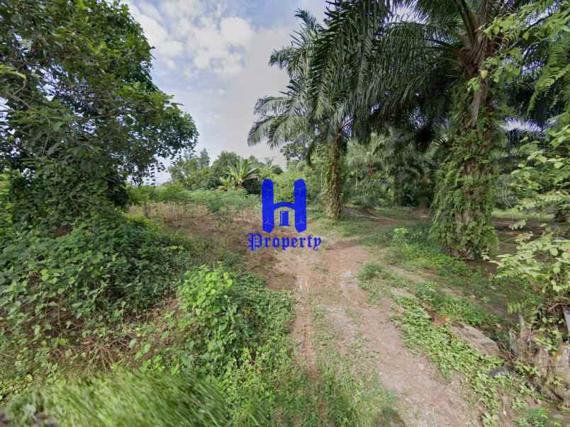 dijual tanah tandukan raga masuk dari
