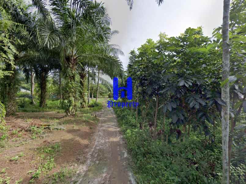 dijual tanah tandukan raga masuk dari