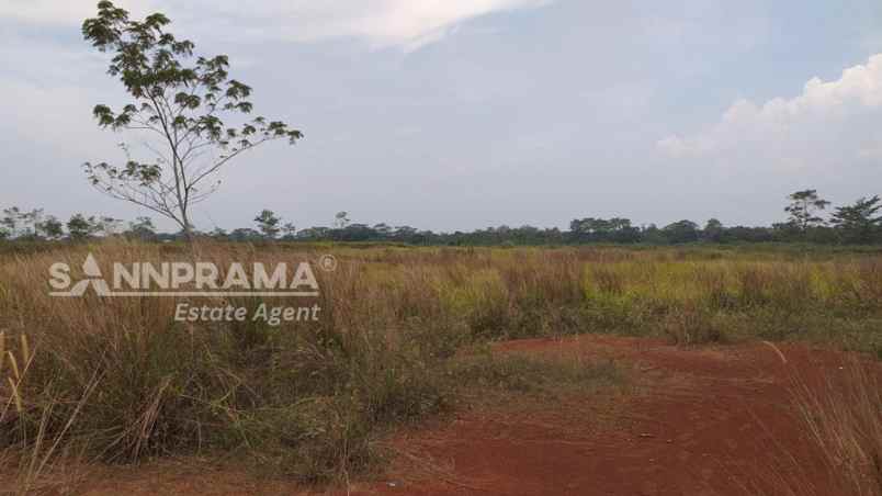 dijual tanah wanakarta