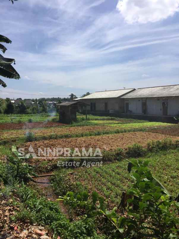 dijual tanah waringin jaya