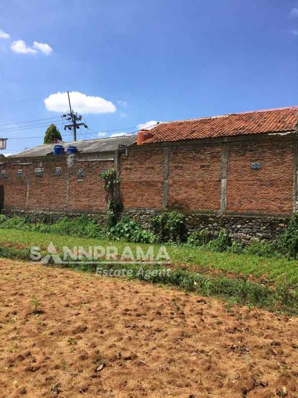 dijual tanah waringin jaya