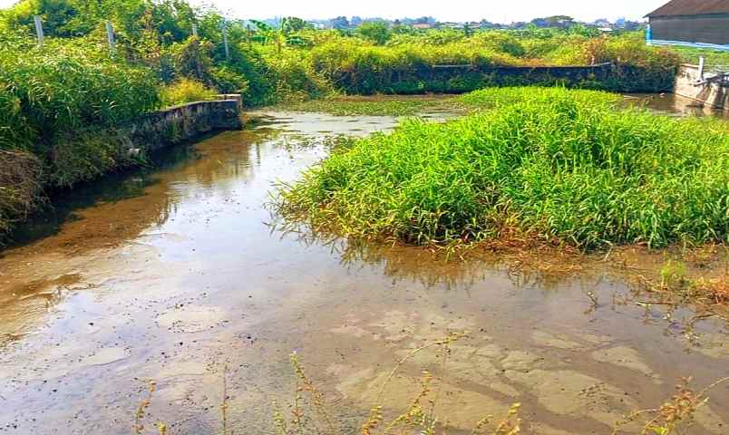 dijual tanah wisata janti klaten