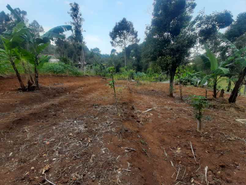 dijual villa girimekar cijambe