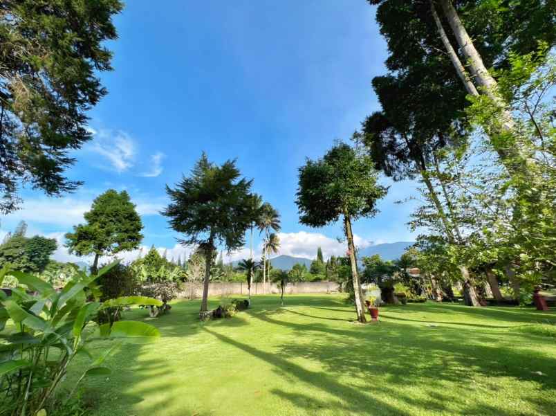 dijual villa puncak pas