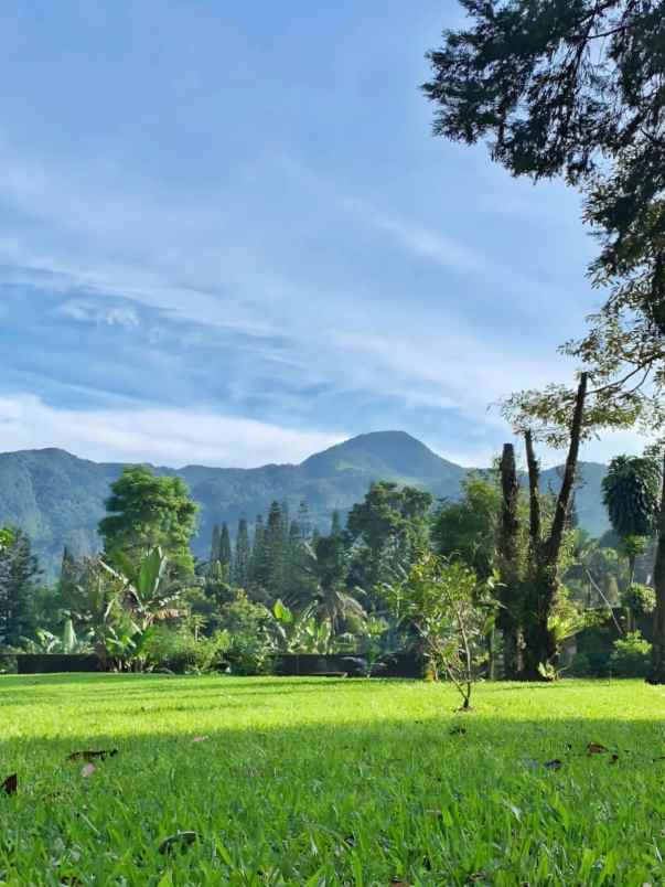 dijual villa puncak pas