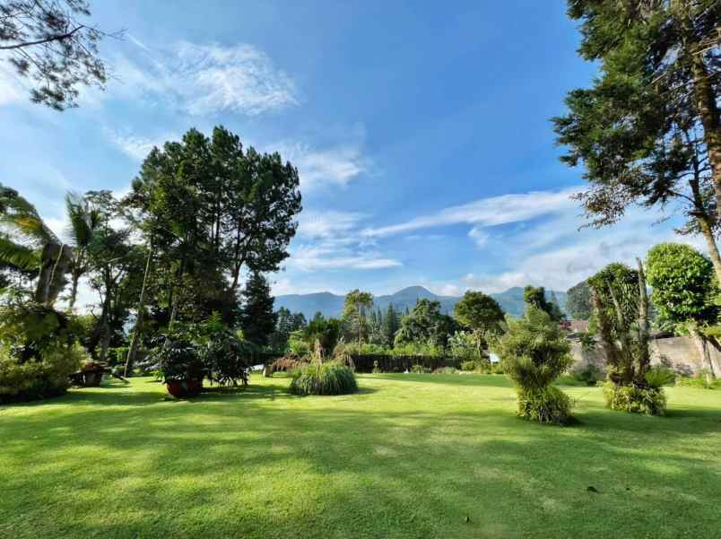 dijual villa puncak pas