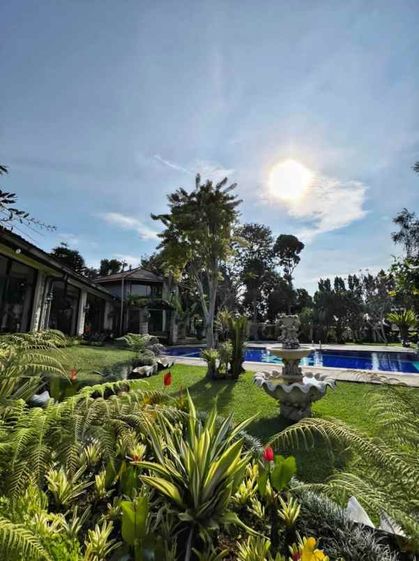 dijual villa puncak pas
