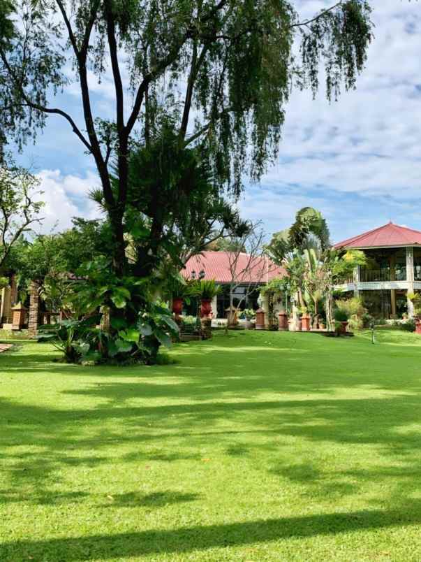 dijual villa puncak pas