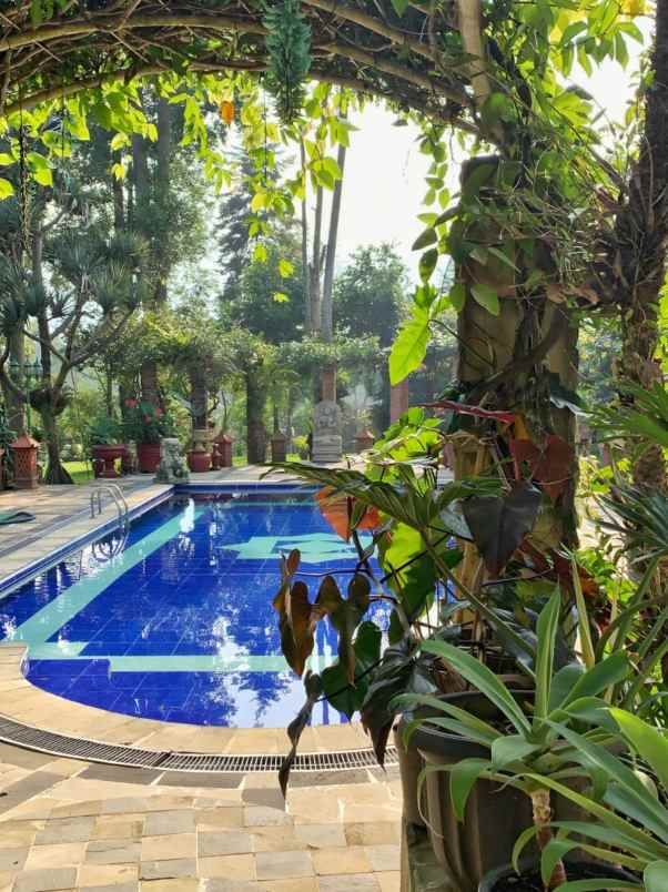 dijual villa puncak pas