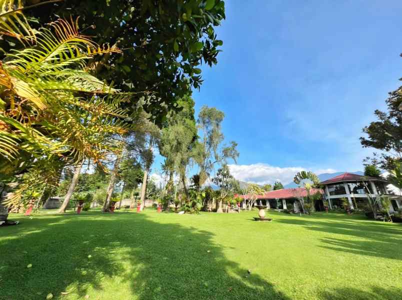 dijual villa puncak pas