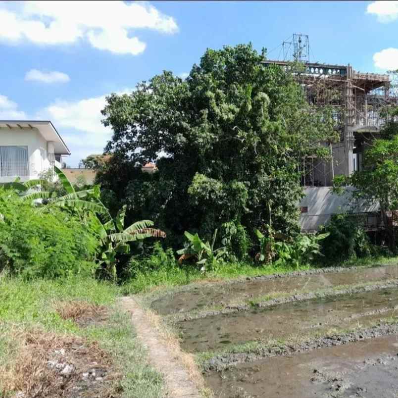 diover kontrakan 6 9 are jl pantai seseh munggu mengwi
