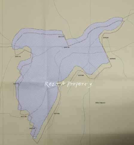 jual lahan 50 ha di bogor timur