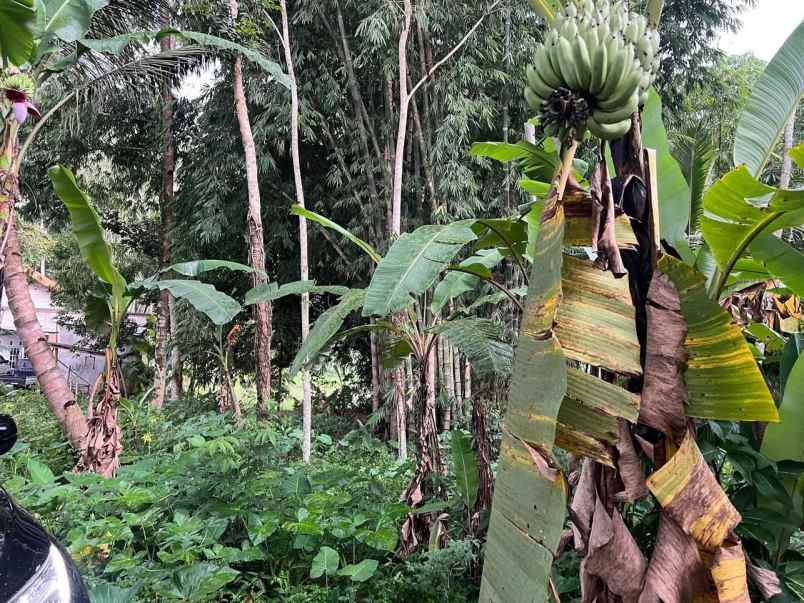 jual murah tanah dekat exit tol salatiga