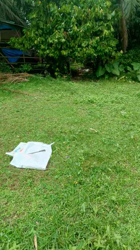 jual tanah 13x23 di serba jadi sunggal