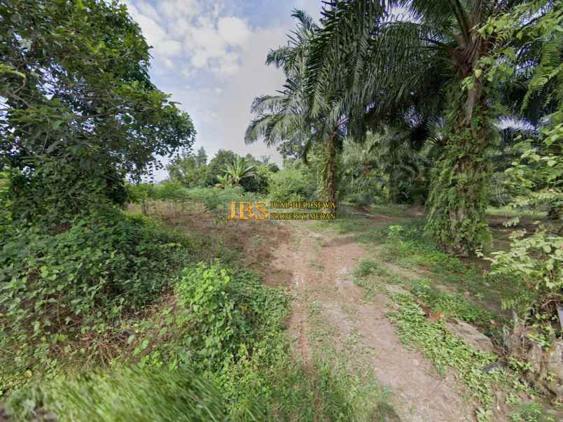jual tanah di tandukan raga kec sinembah tj muda hilir