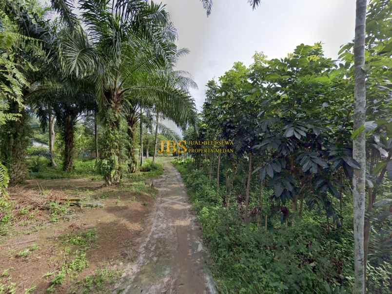 jual tanah di tandukan raga kec sinembah tj muda hilir