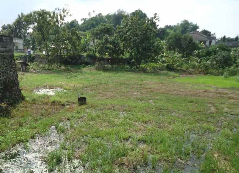 jual tanah luas di mangunharjo kota semarang shm