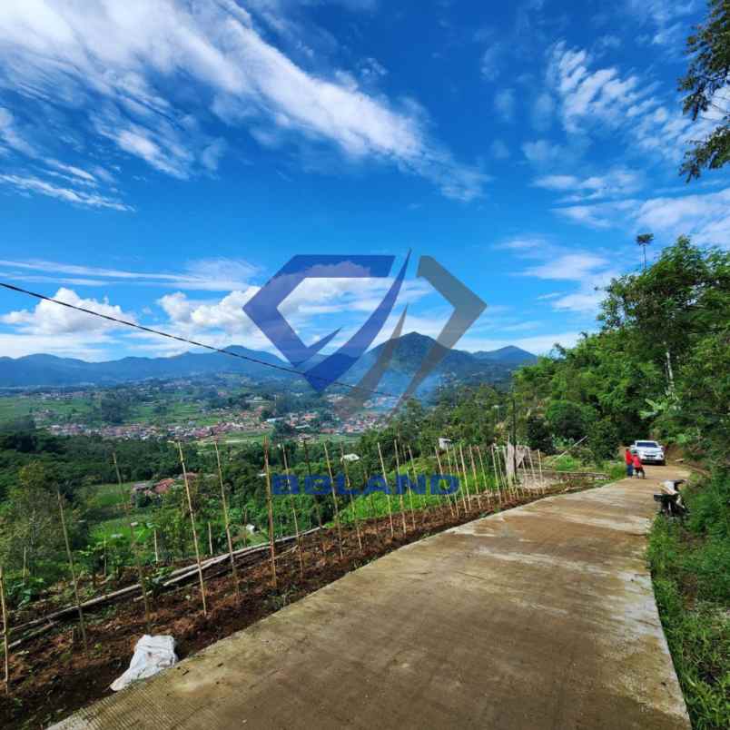 jual tanah murah di ciwidey cocok untuk villa