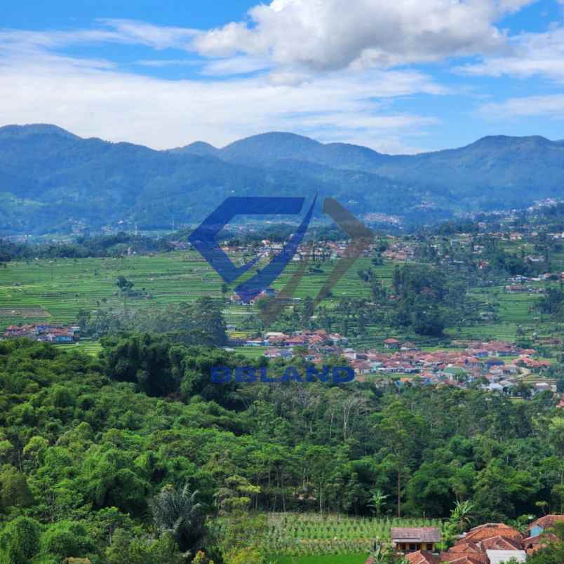 jual tanah murah di ciwidey cocok untuk villa