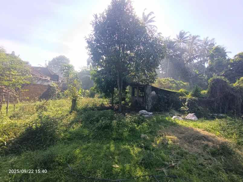 land for leasehold in main road tirta tawar ubud