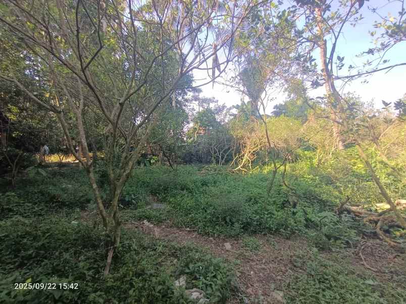 land for leasehold in main road tirta tawar ubud