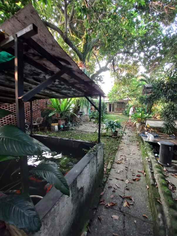 rumah asri luas pavilion jagakarsa jakarta