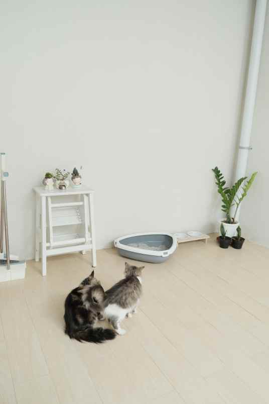 rumah cluster ketileng tembalang semarang full furnish