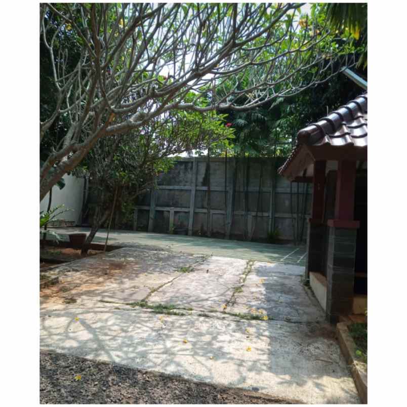 rumah dekat mesjid bani umar