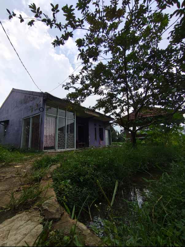 rumah second tanah luas di dramaga bogor