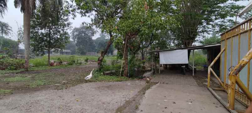 tanah 5637m2 jl raya cileungsi depan mekarsari bogor