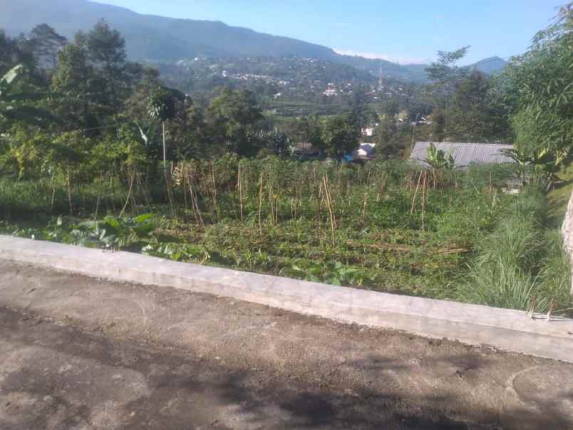 tanah 584m kemuning karanganyar view gunung lawu